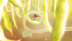 دانلود بازی Botanicula HD – SiMPLEX برای کامپیوتر - تصویر 2