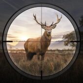 دانلود بازی Hunting Sniper v4.04.0101 (تکتیرانداز شکارچی) برای اندروید دانلود بازی Hunting Sniper برای اندروید